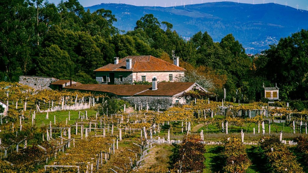 casa rural en los vinedos