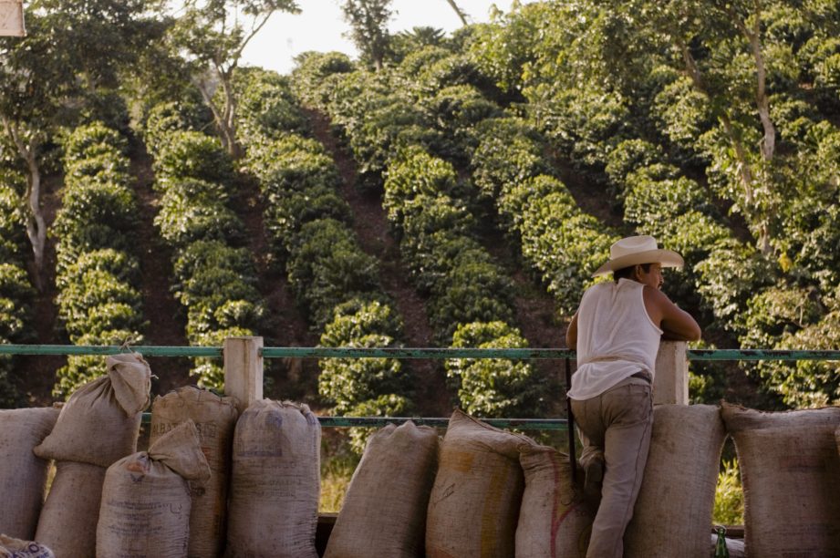 finca la puebla